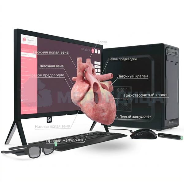 Голографический класс NettleDesk